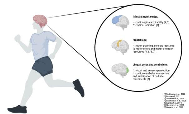 Mikołaj Stańczak research Mikołaj Stańczak research
