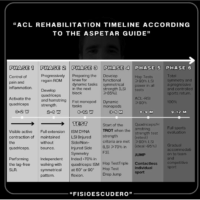 time line acl rehab time line acl rehab